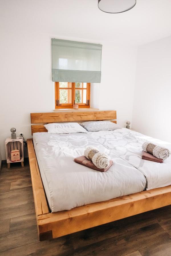 Stekner House Apartma Ljubno Eksteriør billede