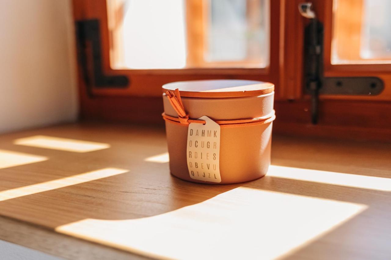 Stekner House Apartma Ljubno Eksteriør billede